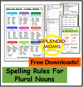 Singular plural spelling rule free worksheets