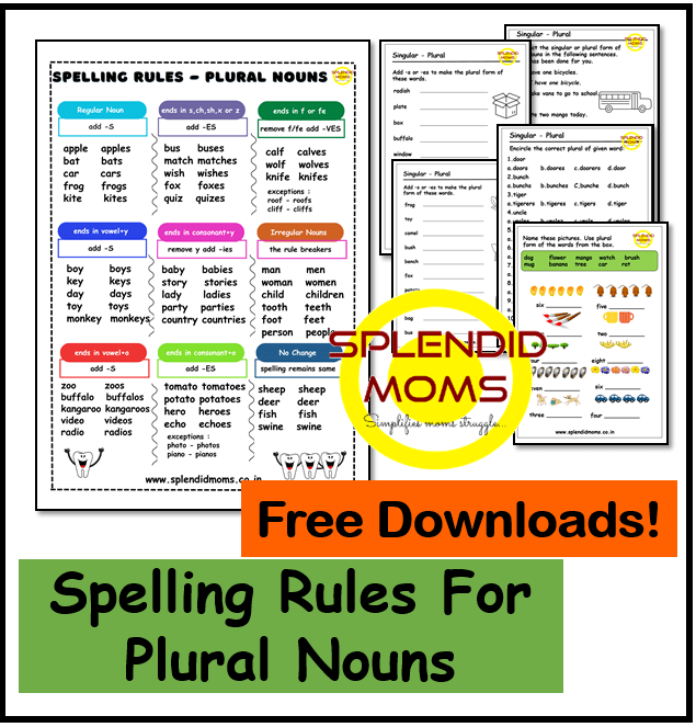 Spelling Rule Singular Plural Nouns Splendid Moms